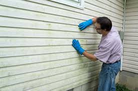 Best Custom Trim and Detailing for Siding  in Sappington, MO